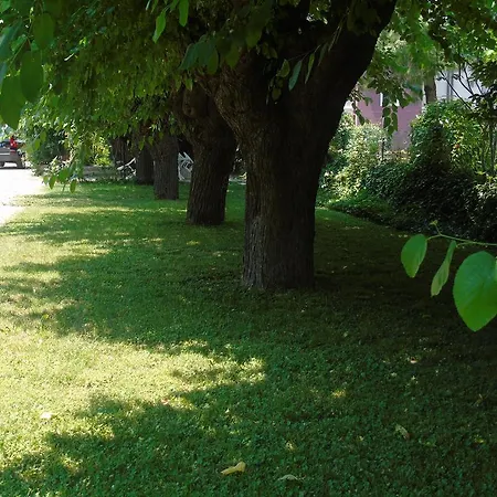 Grifone 1891 2* بسكييرا ديل غاردا