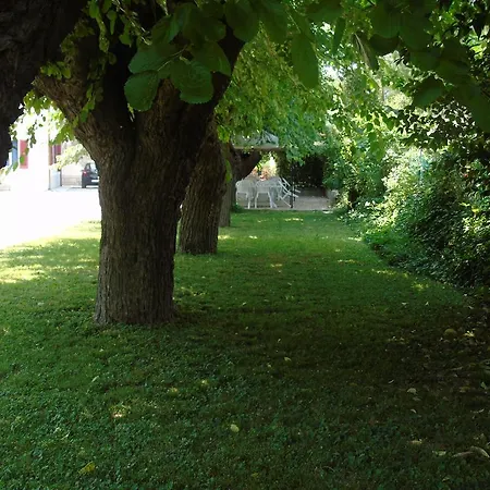 Grifone 1891 Hotell Peschiera del Garda