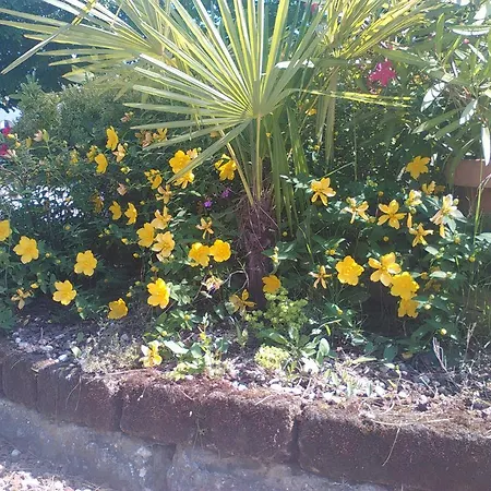 Grifone 1891 فندق 2*