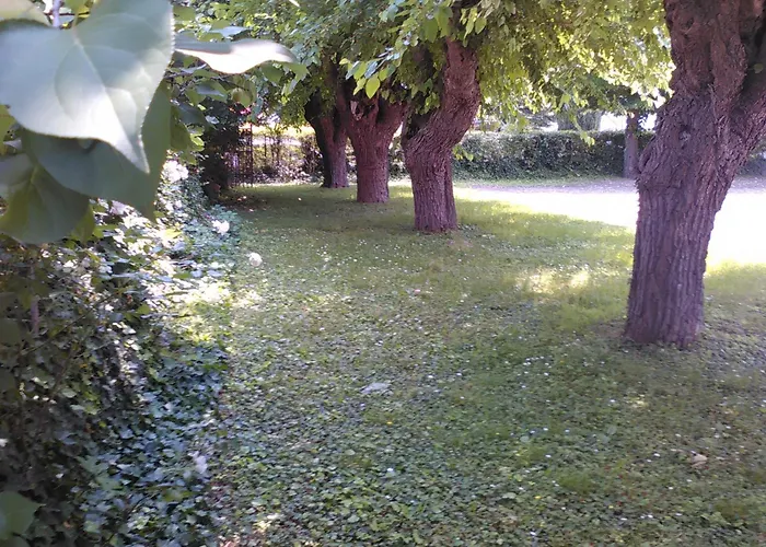 Grifone 1891 Hotel Peschiera del Garda