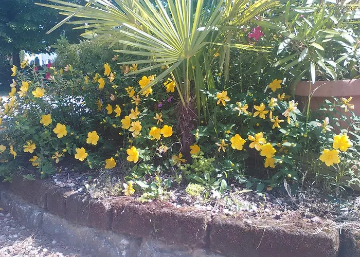 Grifone 1891 Hotel 2*